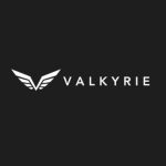 Digital_Kinetics_Valkyrie.jpg
